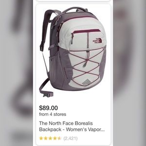 The North Face Borealis Backpack